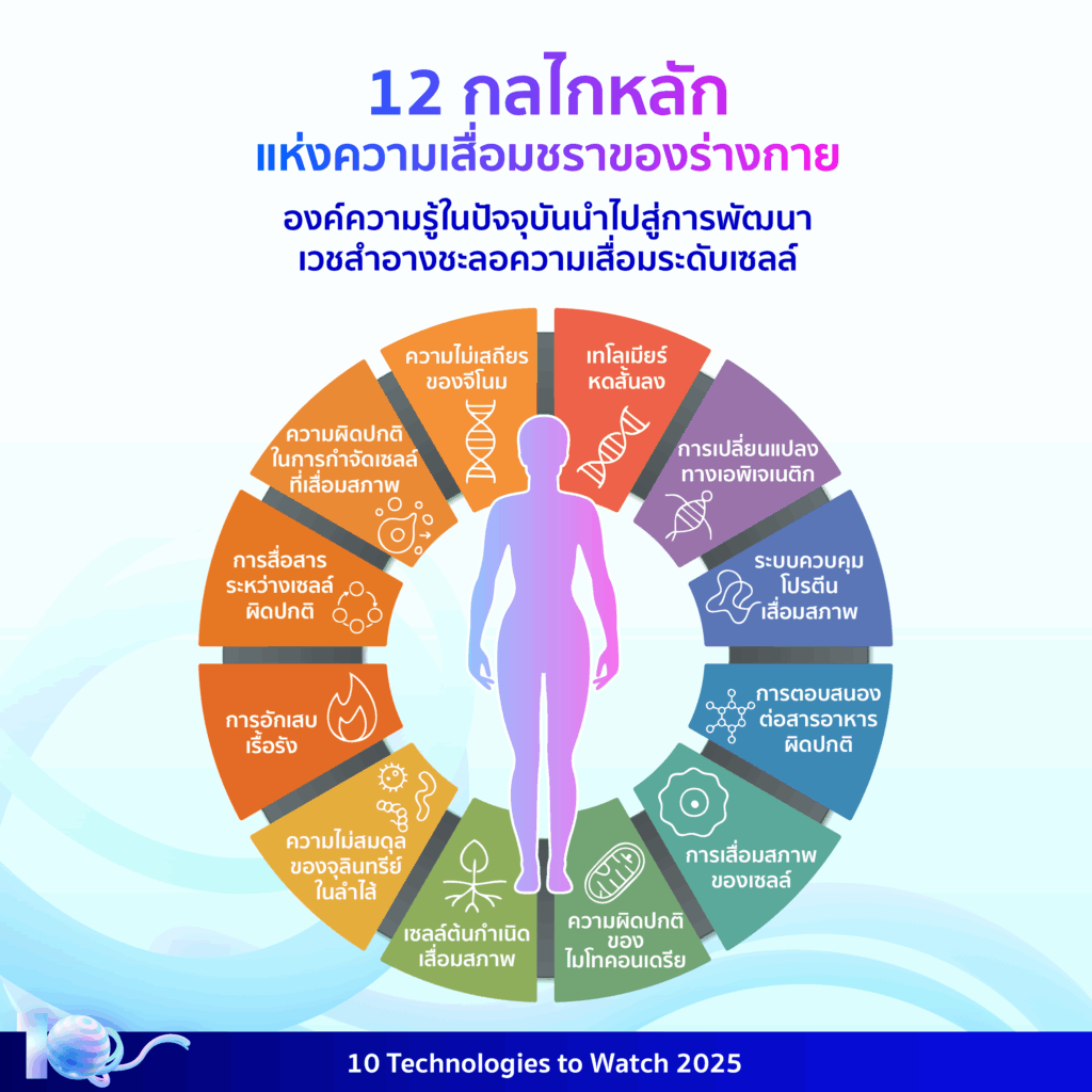 10 Technologies to Watch 2025: เวชสำอางเพื่อสุขภาพและการชะลอวัย (Longevity Cosmeceuticals)