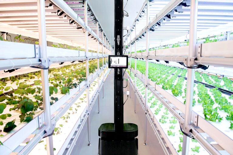 PhenoRobot หุ่นยนต์ตรวจวัดฟีโนไทป์พืชเพื่อการวิจัยและการผลิตพืชในระดับอุตสาหกรรม