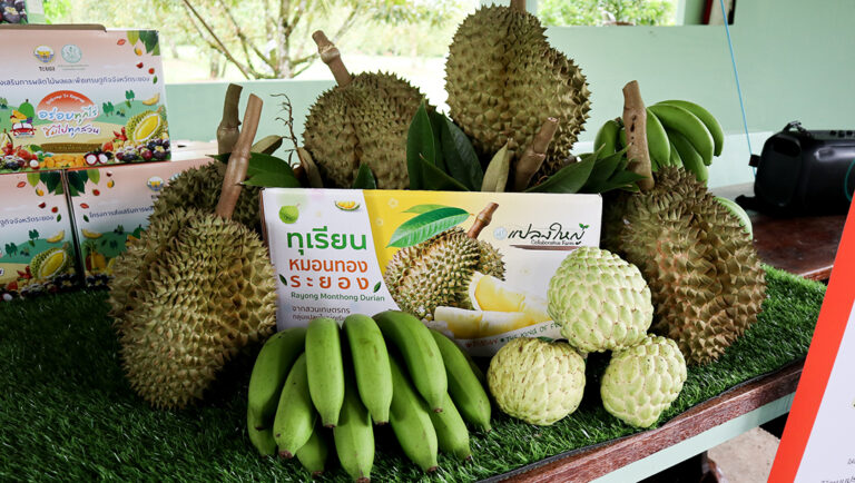 ‘N-sense’ อุปกรณ์คัดกรอง BY2 ตกค้างในทุเรียน รับมือวิกฤตส่งออกจีน