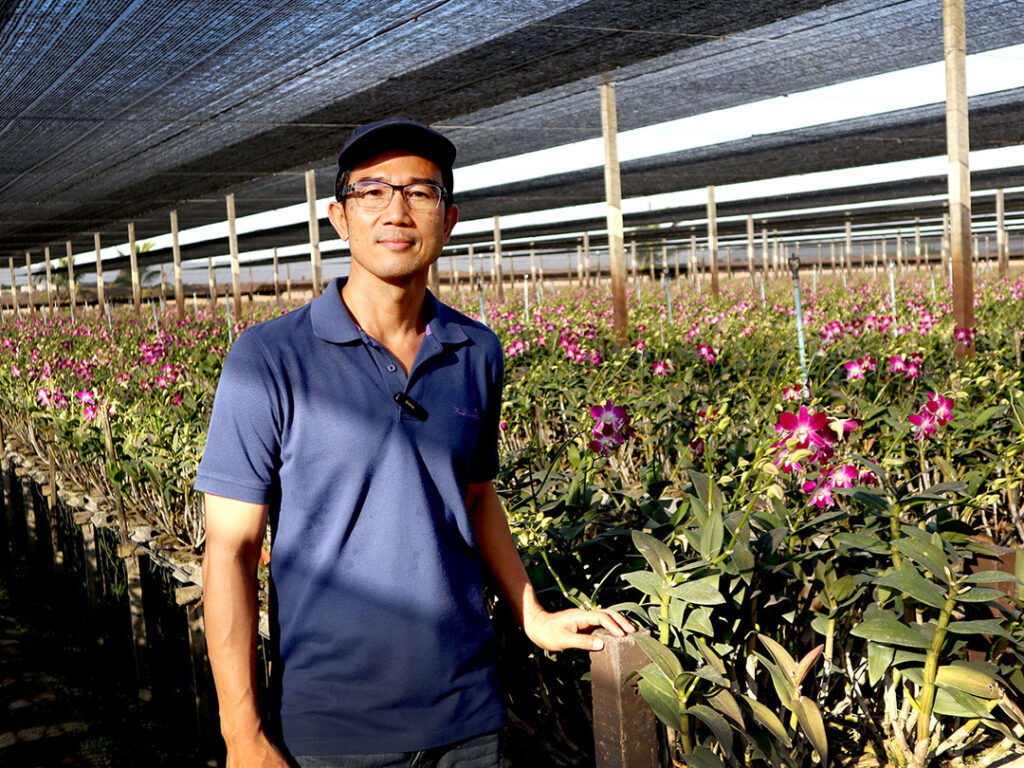 ‘ไวรัสเอ็นพีวี’ ชีวภัณฑ์กู้วิกฤต ‘หนอนบุกทำลายพืชเศรษฐกิจไทย’