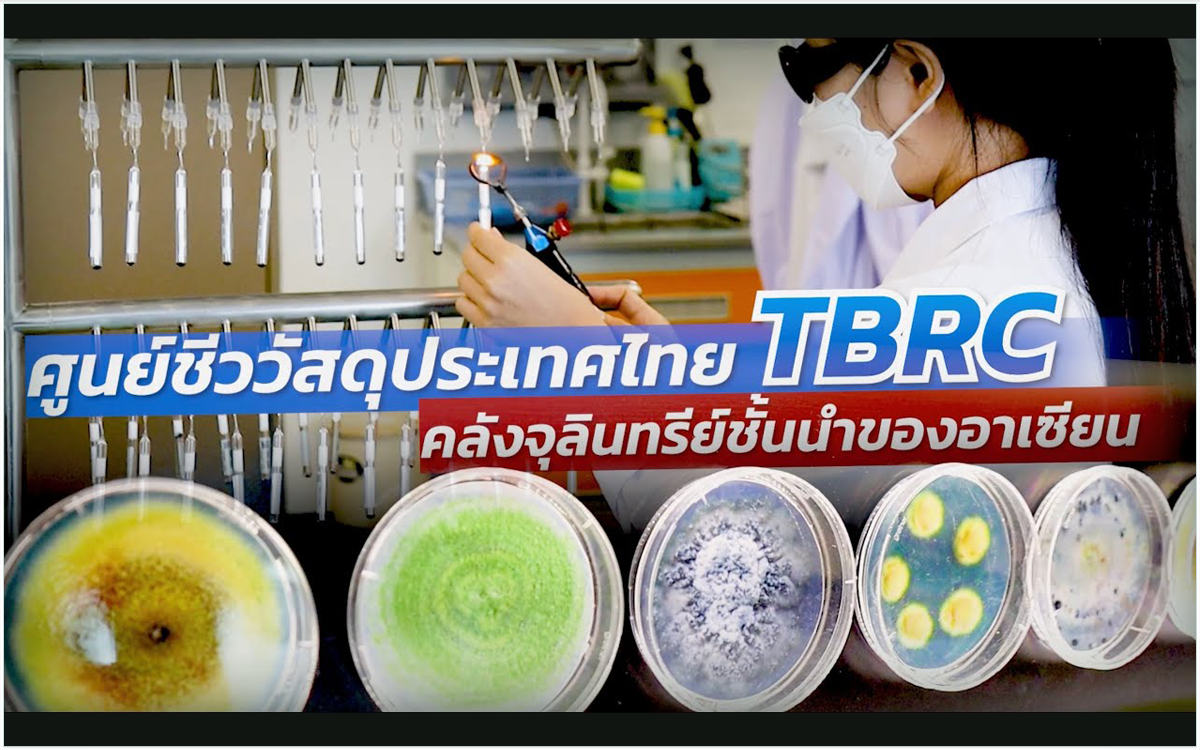 TBRC ศูนย์ชีววัสดุประเทศไทย คลังจุลินทรีย์ชั้นนำของอาเซียน