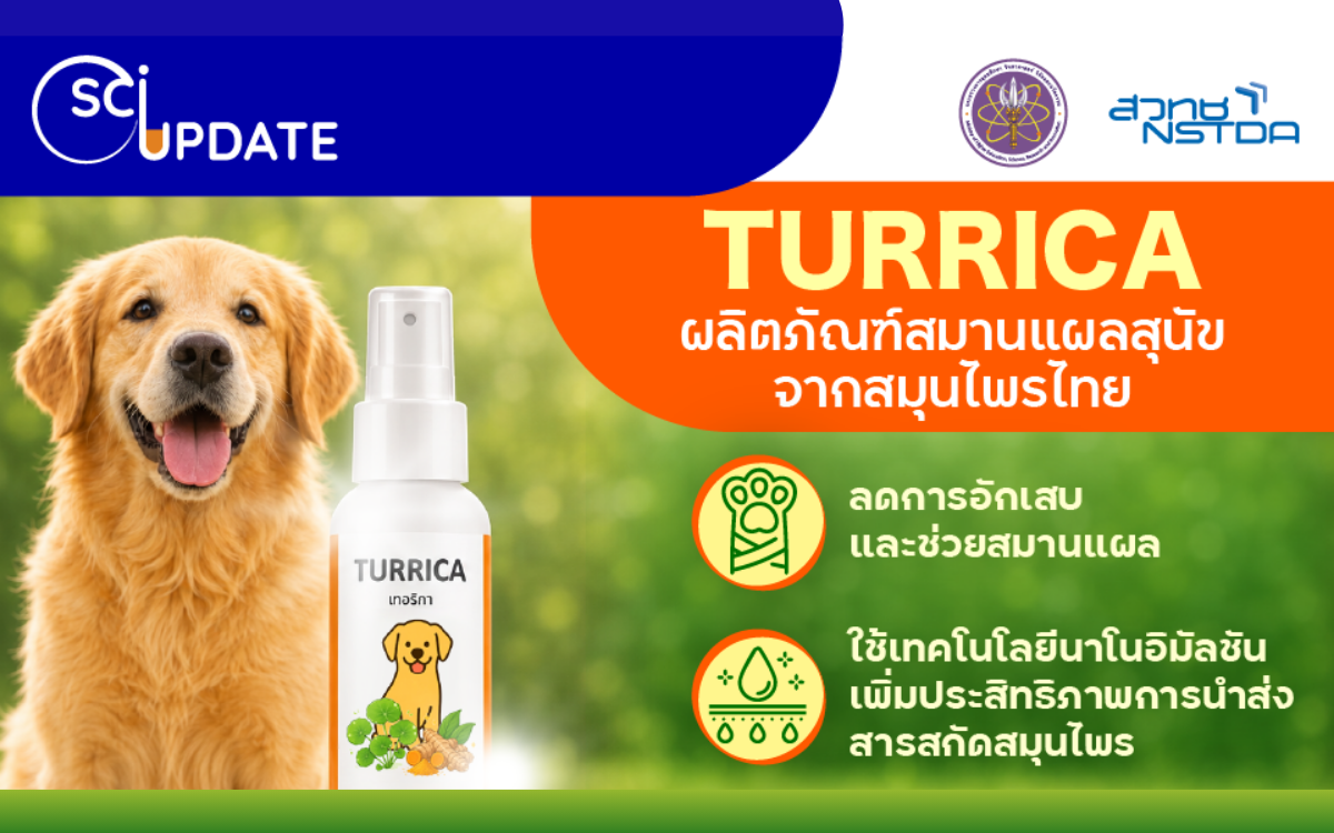 ��Turrica�� ผลิตภัณฑ์สมานแผลสุนัขจากสมุนไพรไทย