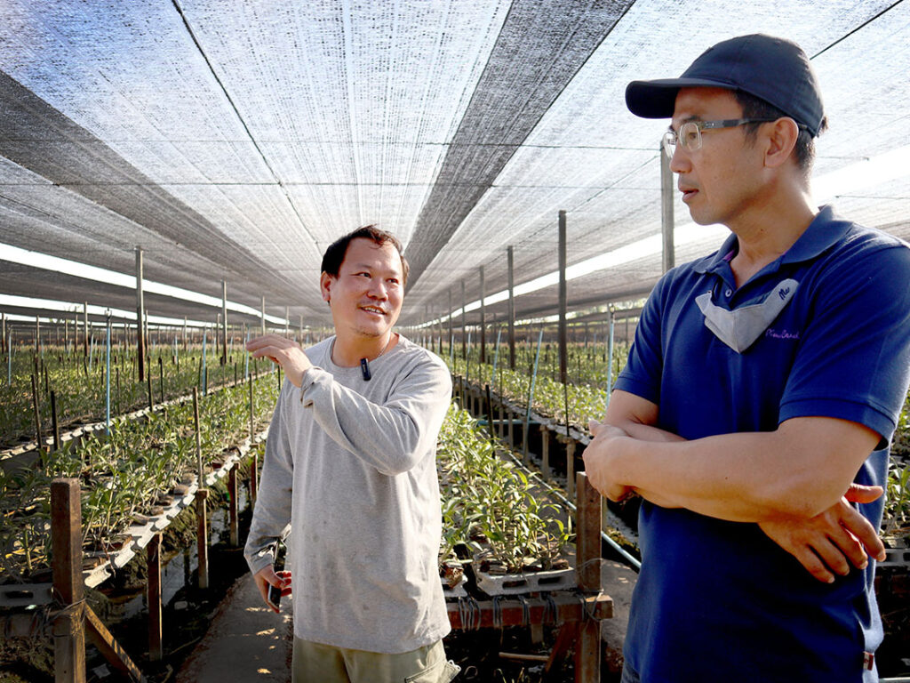 ‘ไวรัสเอ็นพีวี’ ชีวภัณฑ์กู้วิกฤต ‘หนอนบุกทำลายพืชเศรษฐกิจไทย’