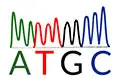 ATGC Co., Ltd.